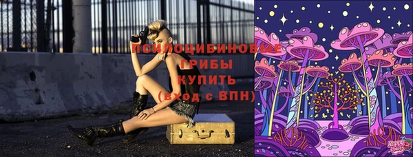 твердый Беломорск
