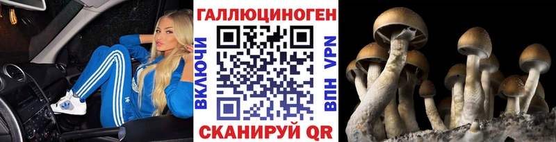цена   МЕГА маркетплейс  Псилоцибиновые грибы Psilocybine cubensis  даркнет наркотические препараты  Вязьма 
