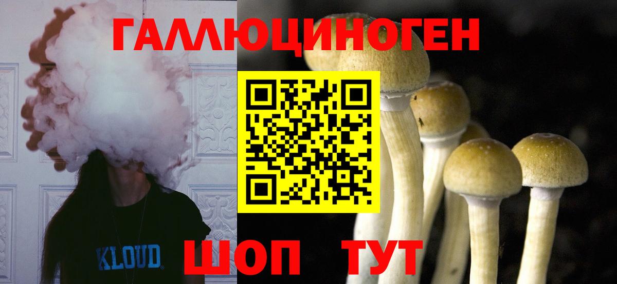 дарнет шоп  Вход с VPN  Вязьма  Псилоцибиновые грибы прущие грибы 