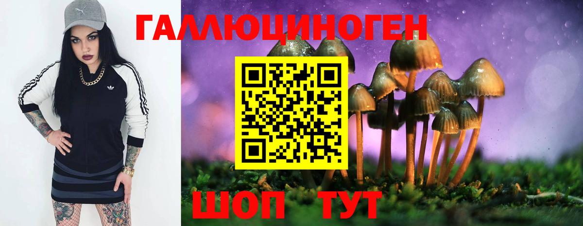 Псилоцибиновые грибы Cubensis Вязьма